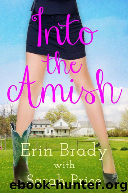Into the Amish by Brady Erin & Price Sarah
