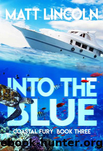 Into the Blue (Coastal Fury Book 3) by Matt Lincoln