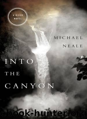 Into the Canyon by Michael Neale