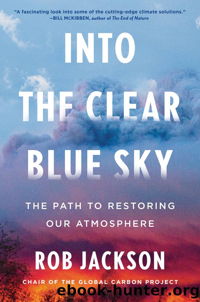 Into the Clear Blue Sky by Rob Jackson