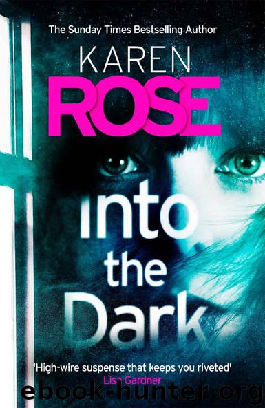 Into the Dark (The Cincinnati Series Book 5) (Cincinnati 5) by Karen Rose