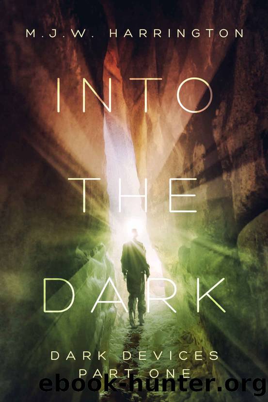 Into the Dark by M J W Harrington