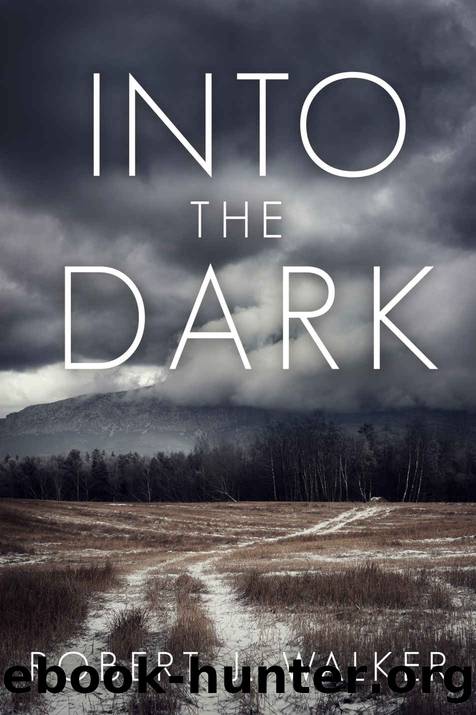 Into the Dark by Robert J. Walker