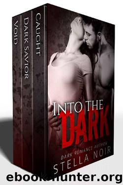 Into the Dark: A Dark Romance Collection by Stella Noir