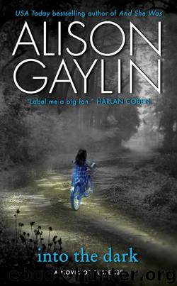 Into the Dark: A Novel of Suspense by Alison Gaylin