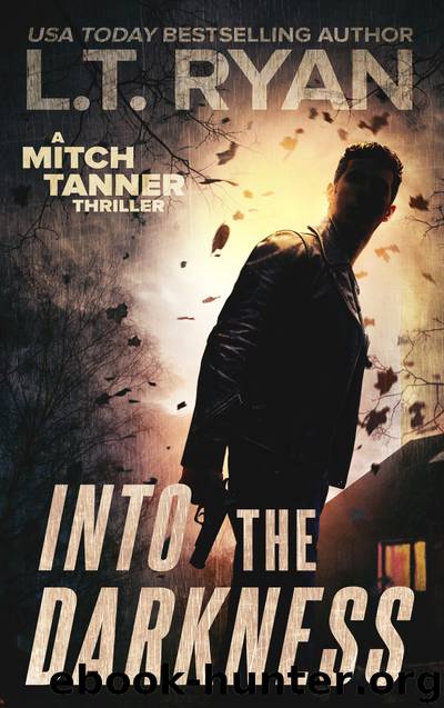 Into the Darkness by L T Ryan