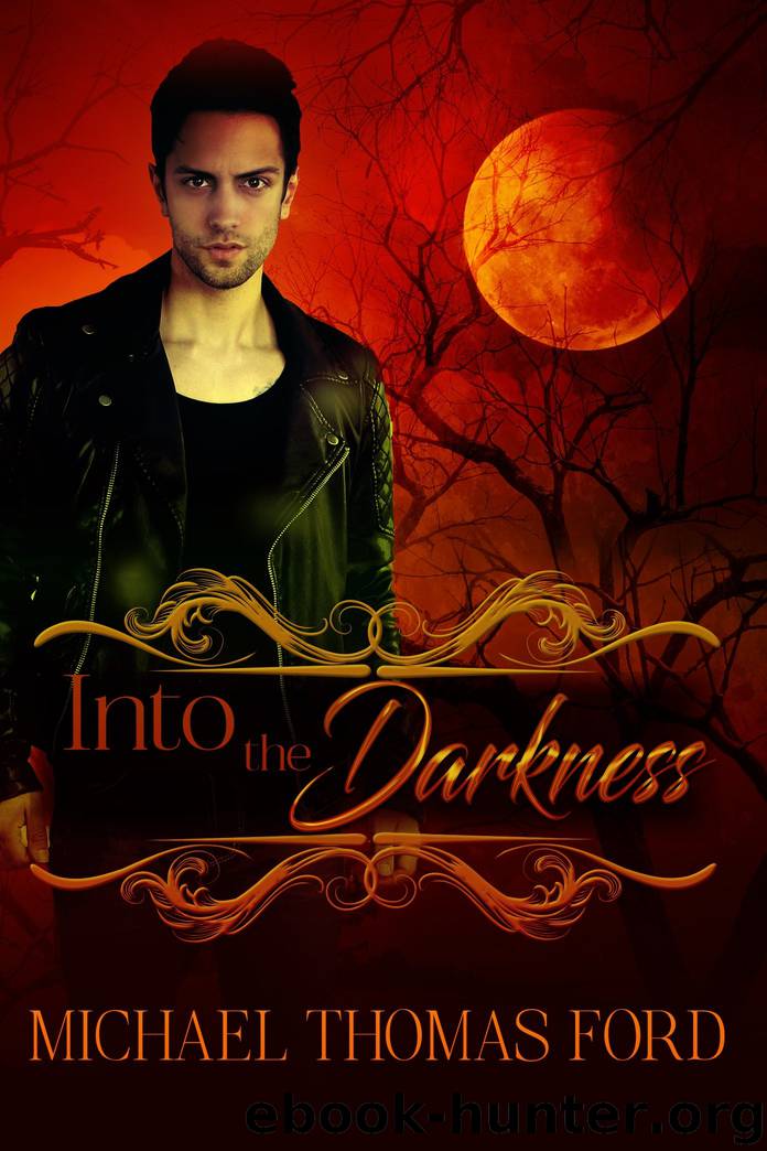 Into the Darkness by Michael Thomas Ford