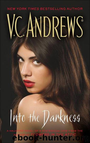 Into the Darkness by V.C. Andrews