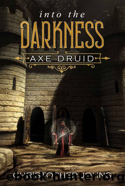 Into the Darkness: A Fantasy LitRPG Adventure (Axe Druid Book 4) by Christopher Johns