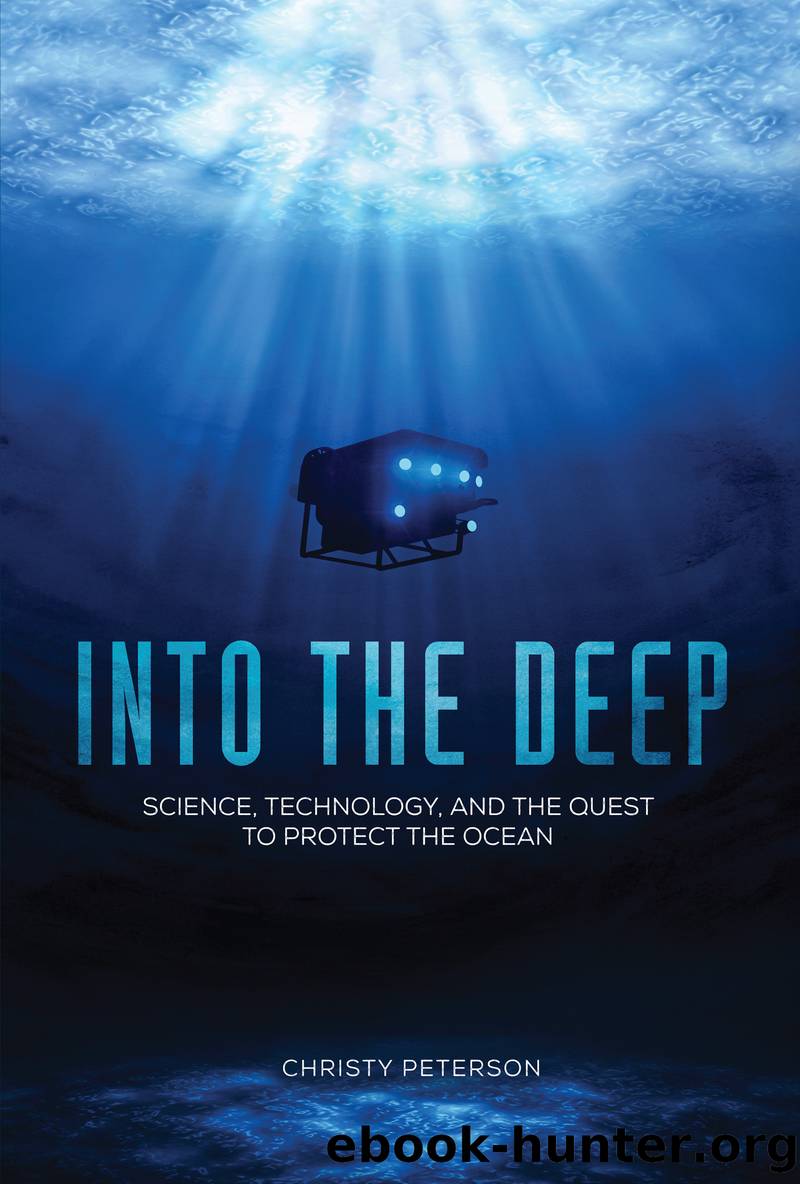 Into the Deep by Christy Peterson