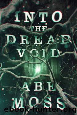 Into the Dread Void (The Dread Void Book 1) by Abe Moss