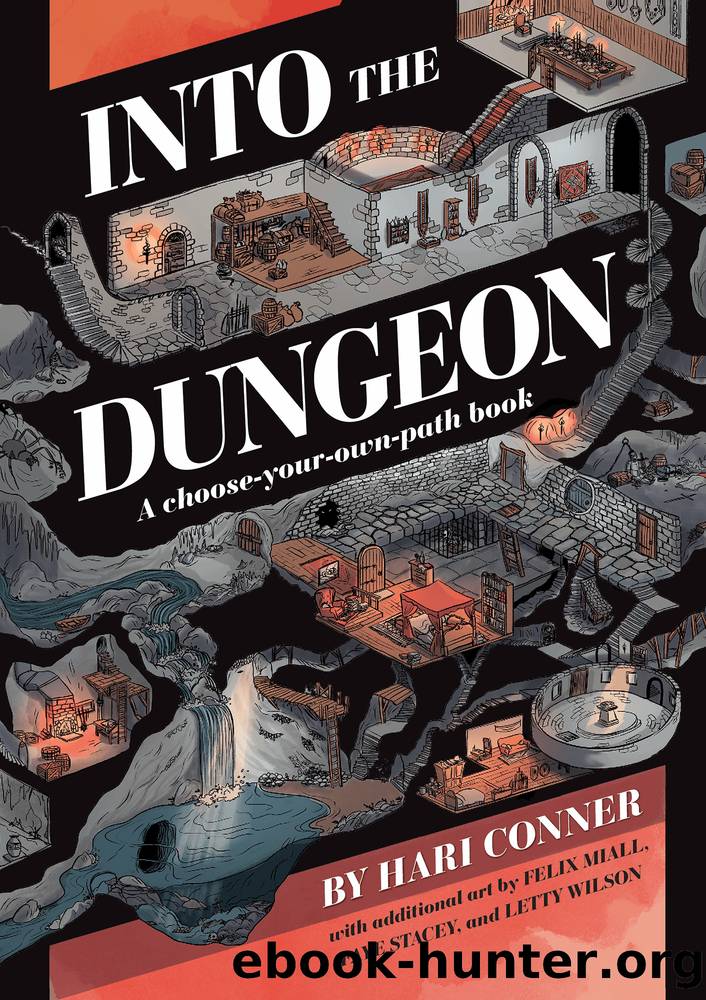 Into the Dungeon by Hari Conner