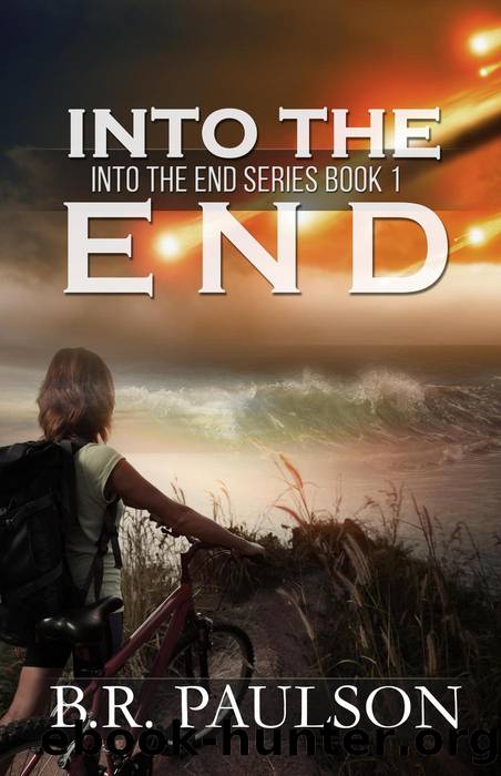 Into the End by B.R. Paulson