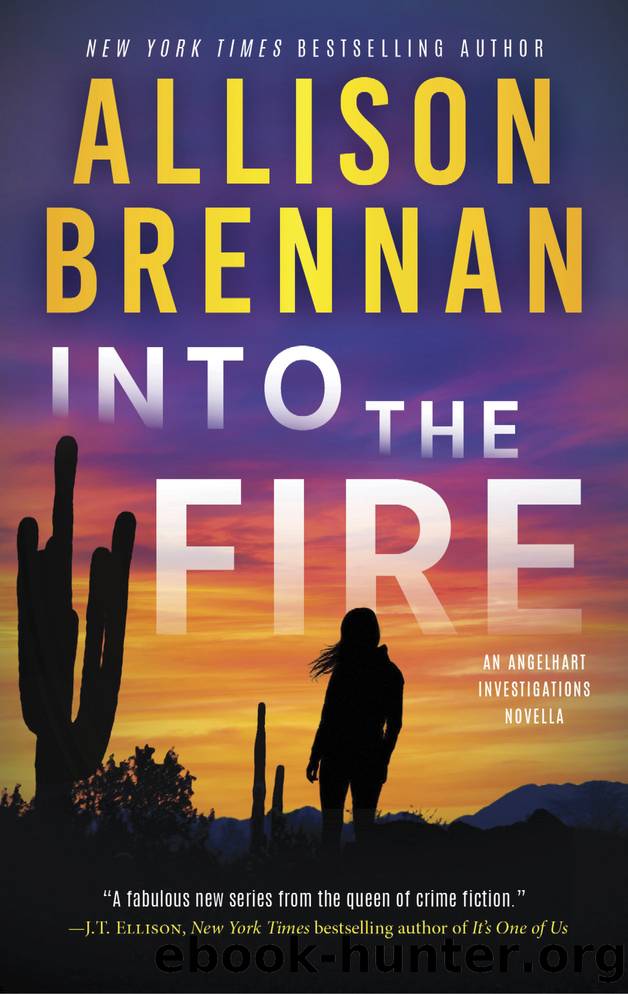 Into the Fire by Allison Brennan