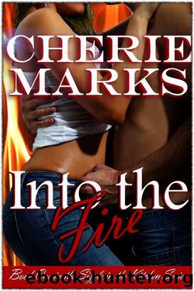 Into the Fire by C. C. Marks