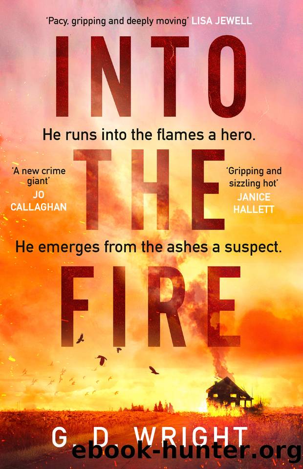 Into the Fire by G. D. Wright