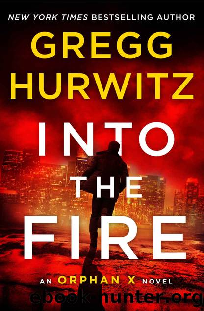 Into the Fire by Gregg Andrew Hurwitz