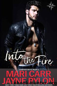Into the Fire by Mari Carr & Jayne Rylon