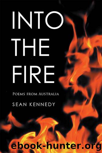 Into the Fire by Sean Kennedy