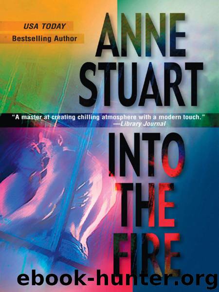 Into the Fire by Stuart Anne