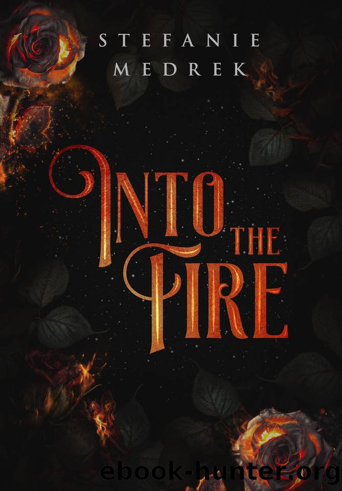 Into the Fire: A Flame in the Shadows Trilogy, Book One by Stefanie Medrek