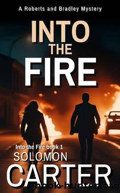 Into the Fire: A Gripping Private Investigator Crime Thriller by Solomon Carter