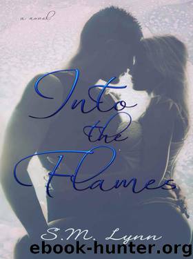 Into the Flames (Out of the Ashes Book 2) by S.M. Lynn