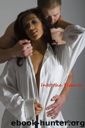 Into the Flames (Perilous Connections: Book Two) by Beazer Delka