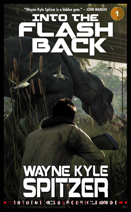 Into the Flashback by Wayne Kyle Spitzer