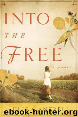 Into the Free A Novel by Julie Cantrell