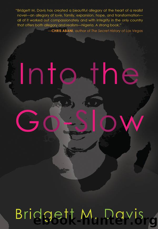 Into the Go Slow by Bridgett M. Davis