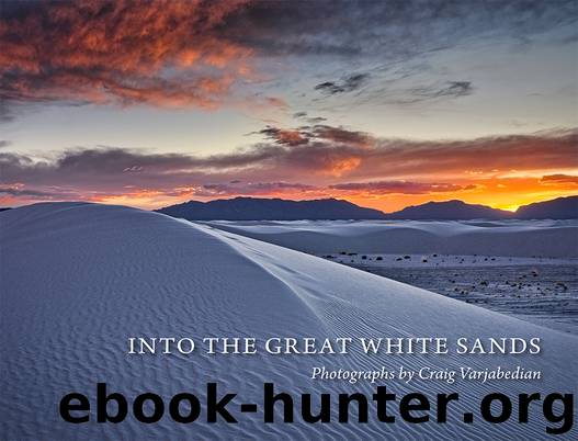 Into the Great White Sands by Craig Varjabedian