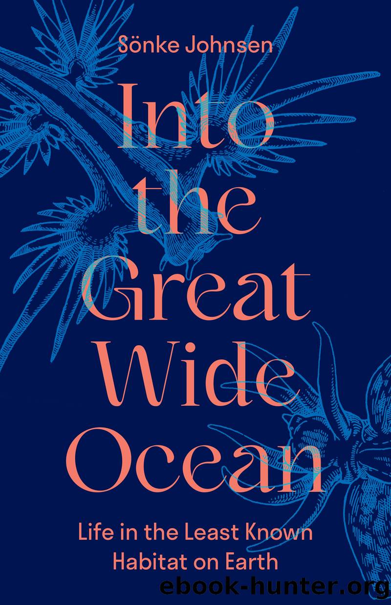 Into the Great Wide Ocean by Sönke Johnsen