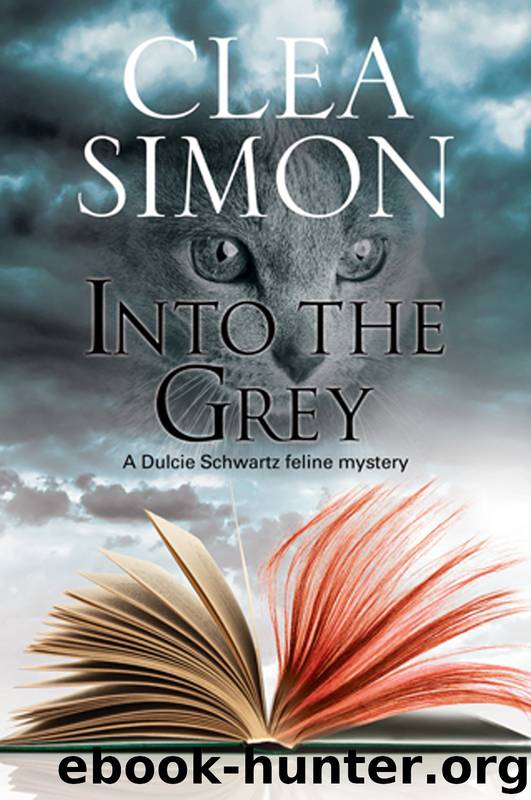 Into the Grey by Clea Simon