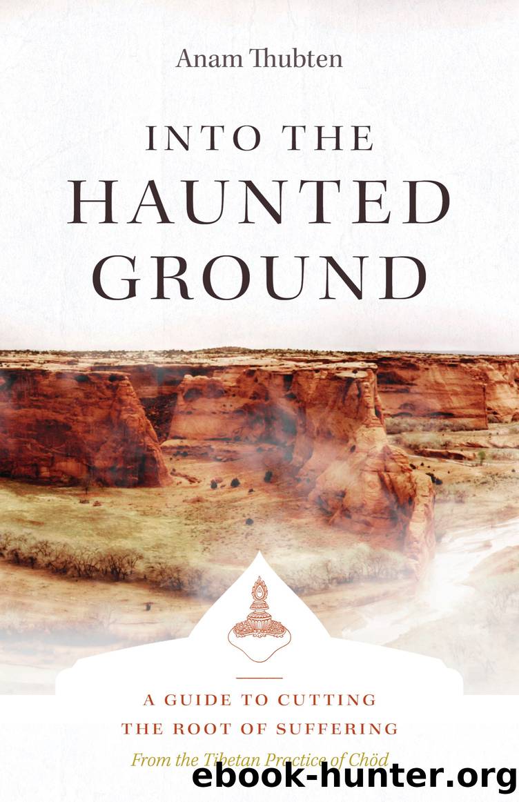 Into the Haunted Ground by Anam Thubten