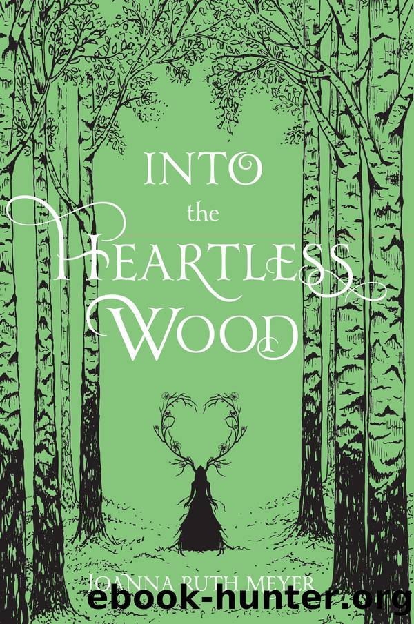 Into the Heartless Wood by Joanna Ruth Meyer