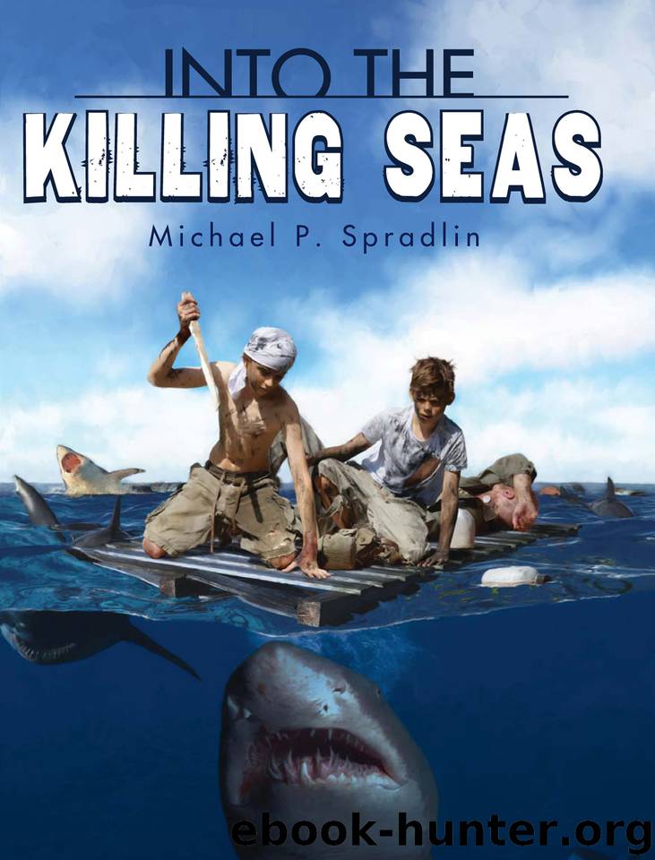 Into the Killing Seas by Michael P. Spradlin