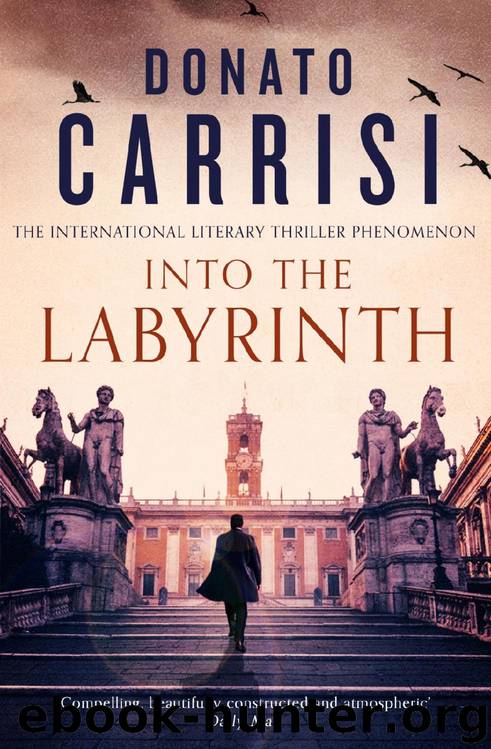 Into the Labyrinth : A Novel (2020) by Carrisi Donato