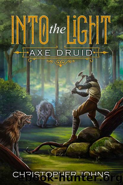 Into the Light (Axe Druid Book 1) by Johns Christopher