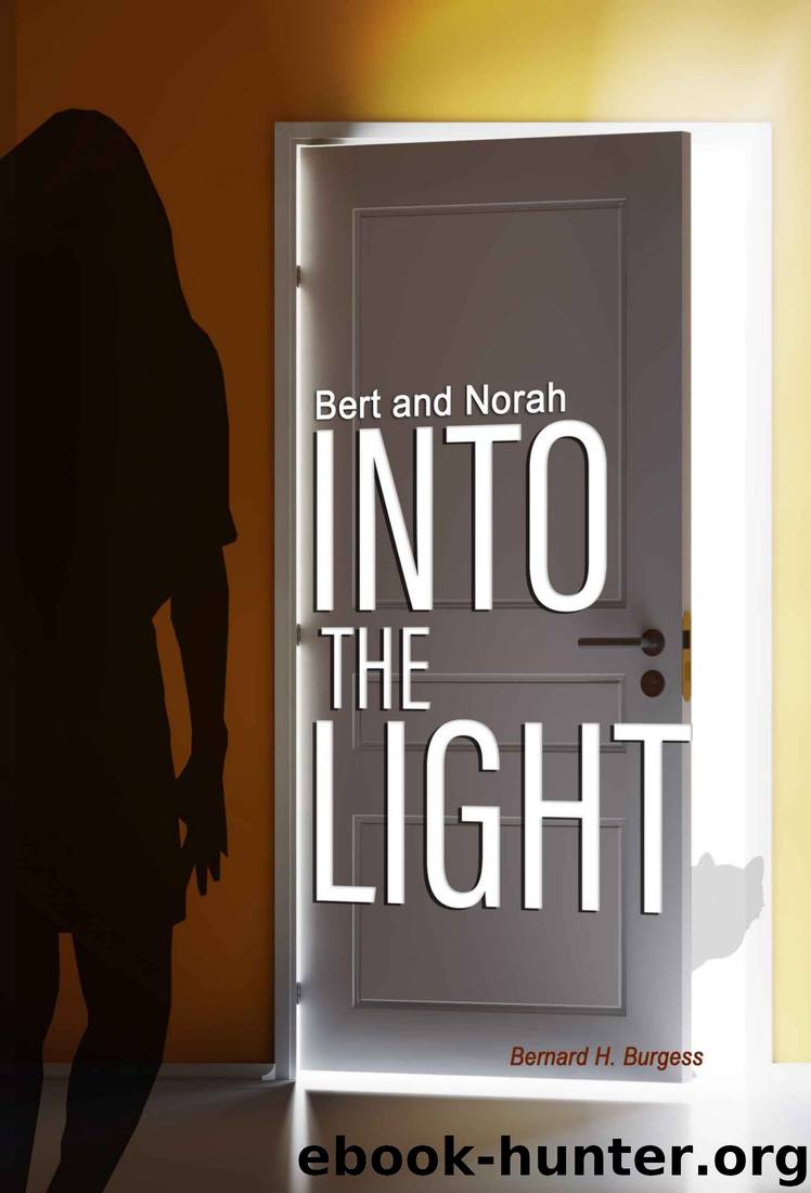 Into the Light by Bernard Burgess