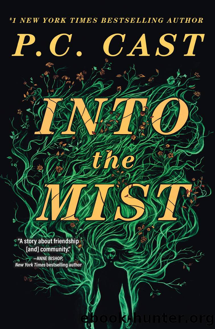 Into the Mist by P. C. Cast