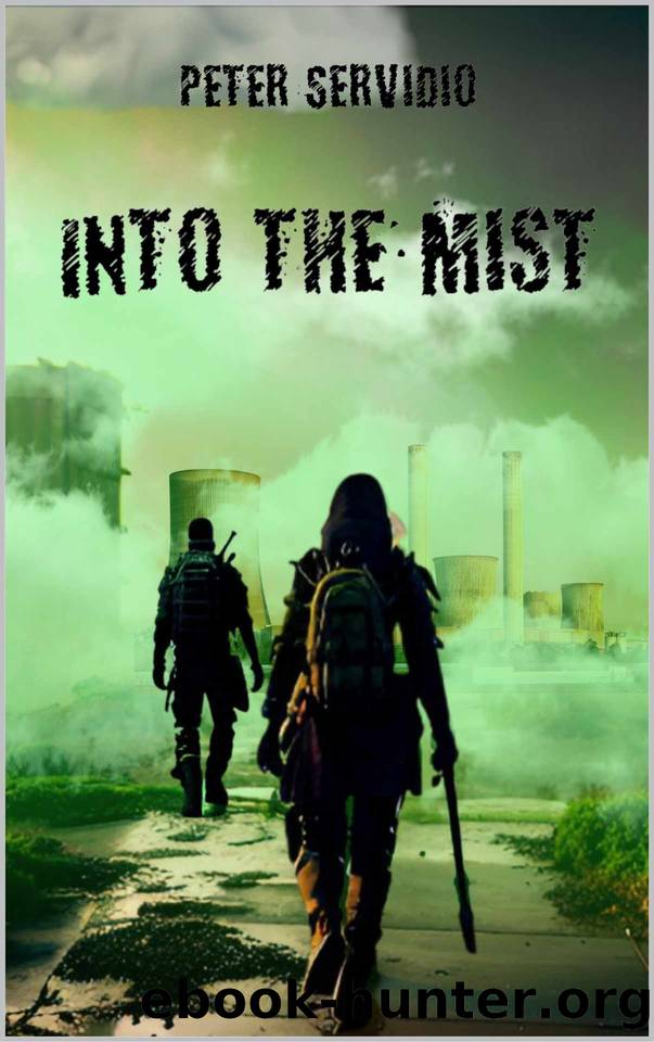 Into the Mist by Peter Servidio