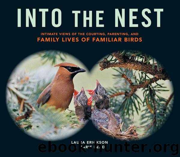 Into the Nest by Laura Erickson