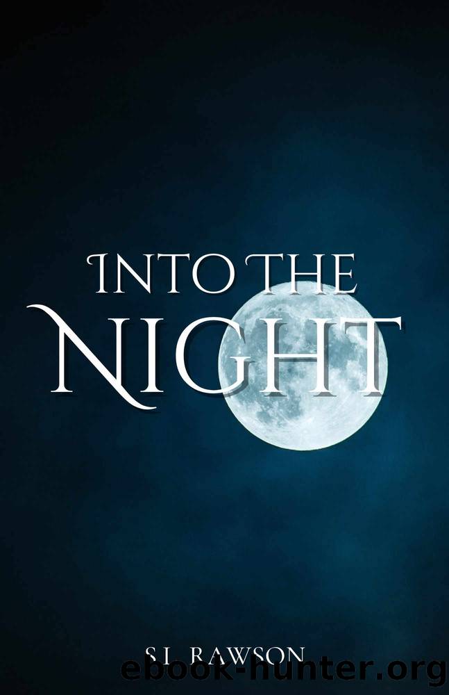 Into the Night by S. L. Rawson