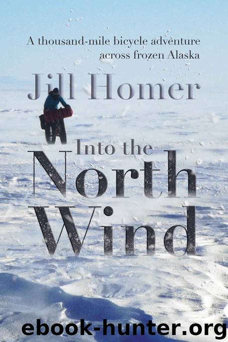 Into the North Wind: A thousand-mile bicycle adventure across frozen Alaska by Jill Homer