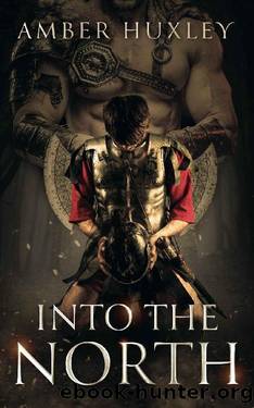 Into the North: A Dark MM Historical Romance by Amber Huxley