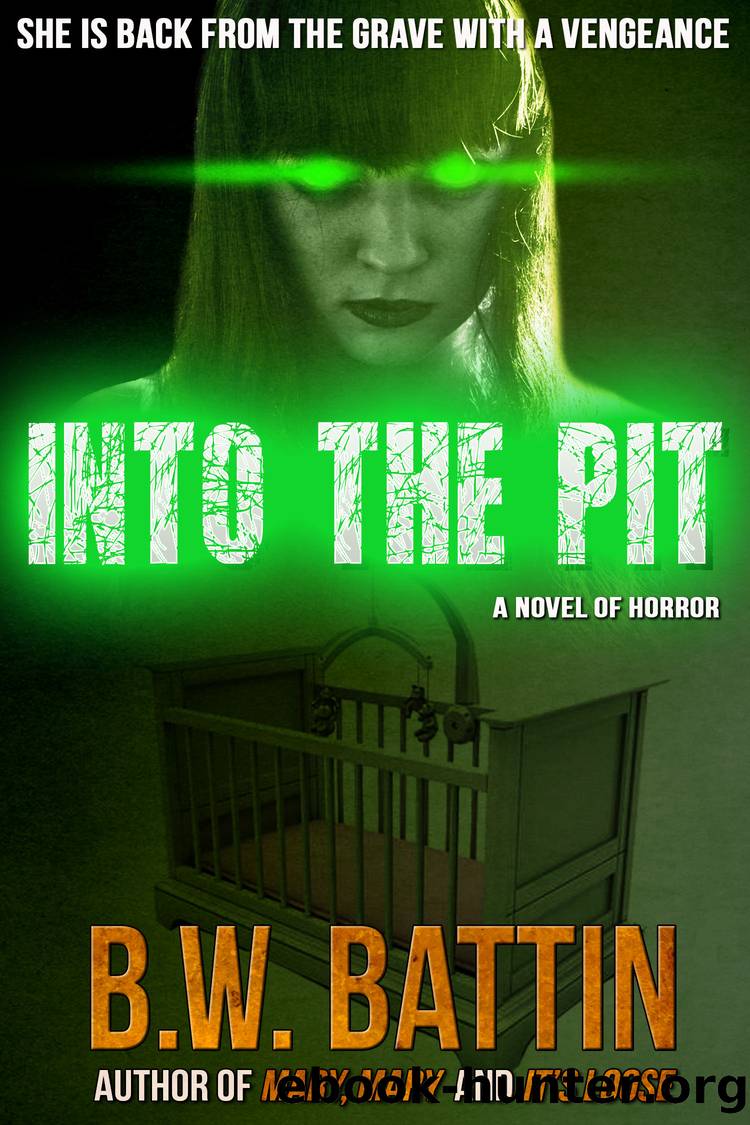 Into the Pit by B. W. Battin