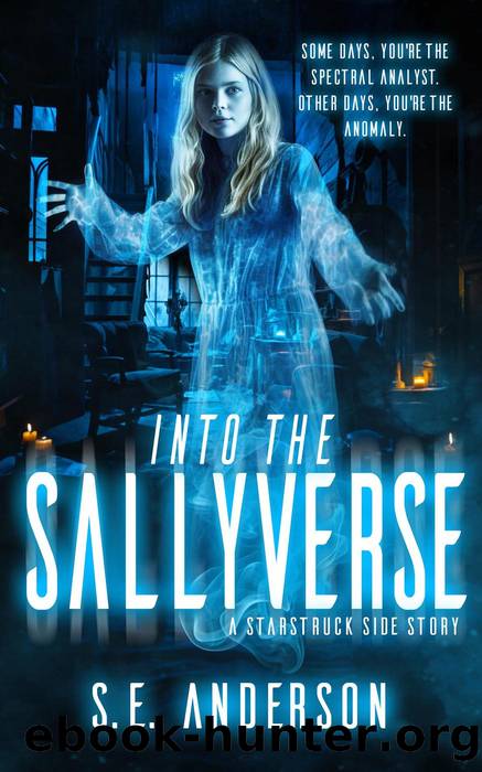 Into the Sallyverse by S.E. Anderson