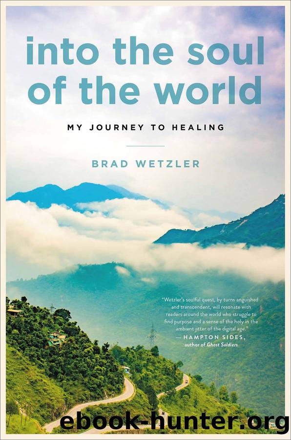 Into the Soul of the World by Brad Wetzler