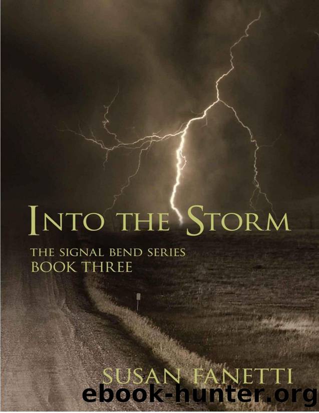 Into the Storm (Signal Bend Series) (Volume 3) by Susan Fanetti